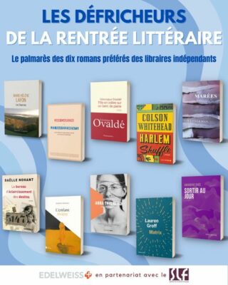 « Les Ravissements » au palmarès des dix romans préférés des libraires indépendants des « Défricheurs de la rentrée littéraire »